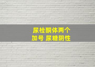 尿检酮体两个加号 尿糖阴性